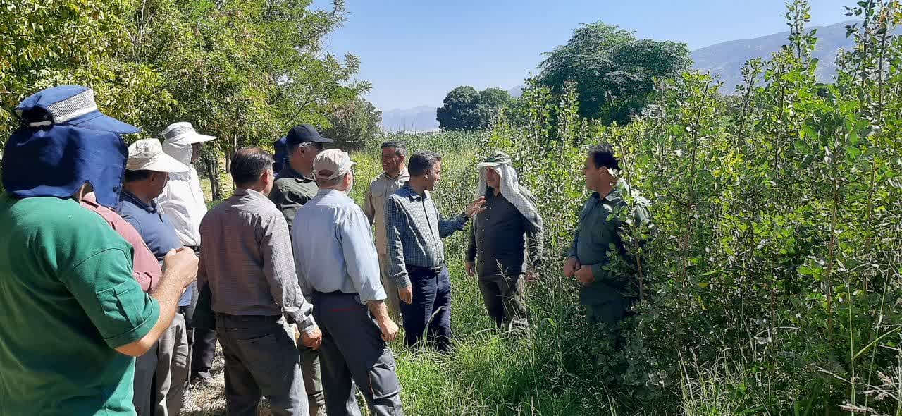 برای اولین بار در ایران 