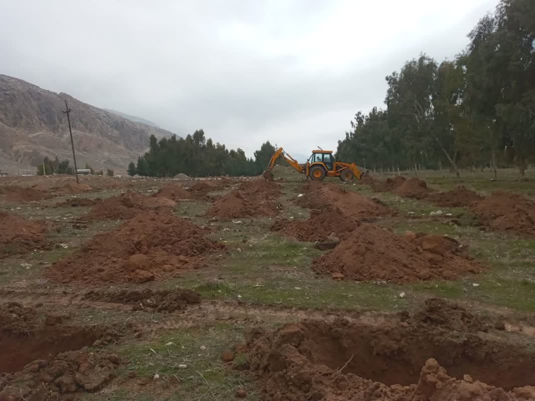 اجرای عملیات چاله کنی جهت احداث باغ شهدای شهرستان سیروان با نهال های مثمر .